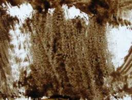 Image result for Asphaltum Varnish 1908 Military