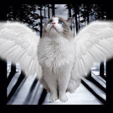 Https Encrypted Tbn0 Gstatic Com Images Q Tbn 3aand9gcrkroadvxqy76artluj0glnp1uzzlvdijag A Usqp Cau