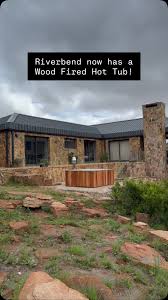 Image result for Xerophyta zimbabwensis