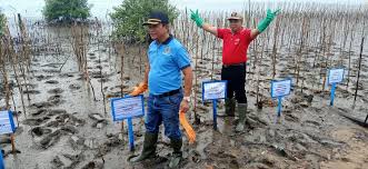 Pantai ini membentang puluhan kilometer dari kotawaringin timur hingga ke perbatasan kabupaten. Atasi Abrasi Tanam Pohoh Mangrove Di Pantai Ujung Pandaran