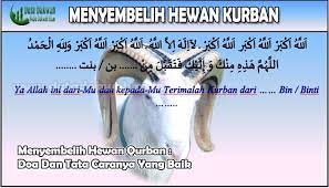 We did not find results for: Menyembelih Hewan Qurban Doa Dan Tata Caranya Yang Baik