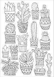 But i didn't really pay too much attention to any of those. Amazon Com Succulents Portable Adult Coloring Book 31 Stress Relieving Designs Studio 9781441321435 Peter Pauper Press Books