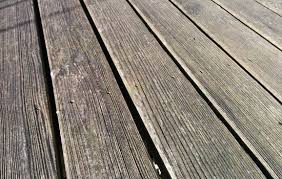 Holz Terrasse Schleifen Und Olen Wandernder Falke Terrasse Holz Holz Schleifen Holz