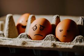 11 Different Ways To Say I M Sorry In French Discover Discomfort