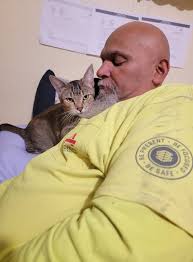 Lost cat in Boise area