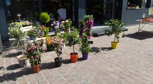 Fleurs Des Halles Home Facebook