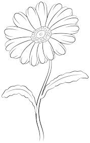 Buy gerbera daisy drawings canvas prints designed by millions of independent artists from all over the world. Flowers Drawings Daisy Drawing Google Search Flowers Tn Leading Flowers Magazine Daily Beautiful Flowers For All Occasions