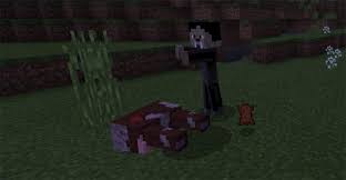 Each of the mobs has its own unique characteristics, and as vampires are supposed to, they can't be killed with regular weapons. Vampire Mod For Mcpe 4 4 Download Android Apk Aptoide