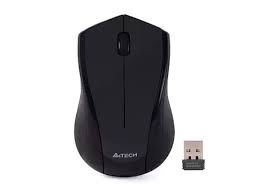 mouse