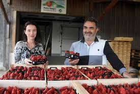 Les Fraises De Haute Loire Et D Ardeche Sont Arrivees La Commere 43