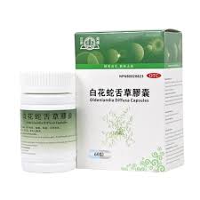 Image result for Oldenlandia cana