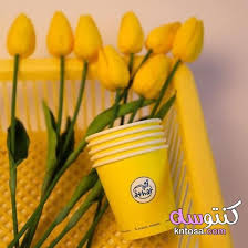 محبى اللون الاصفر صور لمحبين اللون الاصفر وطاقتهم اصفر استثنائيون من يعشقون اللون الأصفر Herbs Planter Pots Vegetables