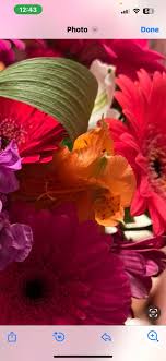 Poisons Help; Emergency Identification For Mushrooms & Plants