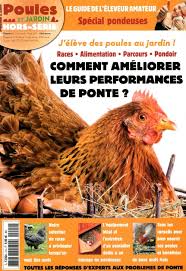 Direct Editeurs Le Service Client Des Diffuseurs De Presse