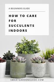 Complete Guide To Growing Succulents Indoors How To Grow And Care For Succulent Houseplants To Help Th Succulent Care Growing Succulents Succulent Care Indoor