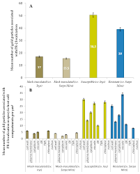 We did not find results for: Ijms Free Full Text Plant Cell Wall Dynamics In Compatible And Incompatible Potato Response To Infection Caused By Potato Virus Y Pvyntn