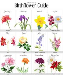 Birth Flowers Chart Birth Flower Tattoos Tattoos Flower