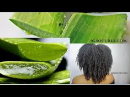And after a stressful time, such as a tough college year, hard exams, or even having a stressful job, all that can leave the hair to suffer, and lose its texture. What Is The Benefit Of Aloe Vera Juice Mixture For Natural Hair Here Is How To Use Aloe Vera Aloe Vera Gel For Hair Growth Fresh Aloe Vera Natural Hair Styles