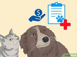 How pet insurance works, including the different types of cover. How To Get Pet Life Insurance 9 Steps With Pictures Wikihow