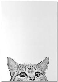 Britishshorthaircat Cats Art Drawing Cat Art Cat Drawing