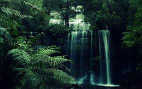 Hd wallpapers and background images Green Aesthetic Desktop Wallpapers 4k Hd Green Aesthetic Desktop Backgrounds On Wallpaperbat
