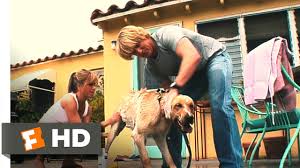 Alan arkin, alec mapa, ana ayora and others. Marley Me 4 5 Movie Clip Life With Marley 2008 Hd Youtube