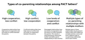Supporting The Fatherhood Journey Findings From The Parents