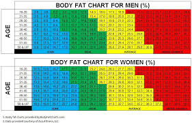 The Body Fat Charts Displayed Show Body Fat Percentages For