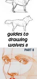 The bridge of the nose begins high on the face — between the dog's eyes — and thrusts forward. Guides To Drawing Wolves 8 Art Sketches Realistic Drawings Drawings