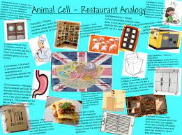 Maybe you would like to learn more about one of these? 8 Cell Analogy Project Ideas Cell Analogy Analogy Cell