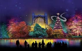 Botanischer garten und botanisches museum berlin, berlin. Christmas Garden Berlin Ab 17 November Im Botanischen Garten Berlin