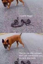 Pin By Nat On Everybody S Got A Laughin Place Funny Animals Pinterest Humor Funny