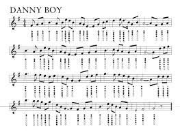 Danny Boy Tin Whistle Irish Flute Whistle