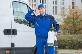 We do things right the first time, so you won't have to worry about recurring issues and extra costs. Pest Control Services In Sydney What You Need To Know