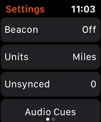 It provides a larger view and the similar apps section which is currently missing from the app store on the watch. Strava Apple Watch App Strava Support