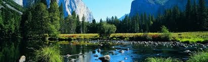 Today you'll find 88 cabins scattered throughout 20 acres of towering pines, each with its own balcony to create a sense of privacy, yet within easy reach of the central. Top 20 Yosemite National Park Us Cottage Rentals Vrbo