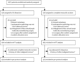 2 colon vs large intestine. 61poytu5o5summ