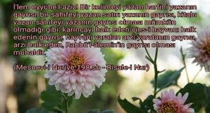 Risale I Nur 2020 Kitap Hayvan Harf