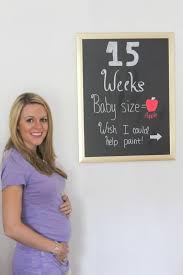 15 weeks pregnant is how many months? Pregnancy 14 15 Weeks Casual Claire