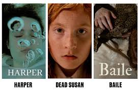 FUSE Film 2022 shortlist announcement