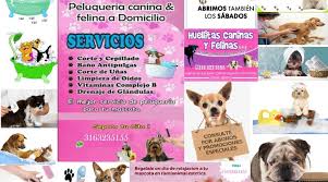 VETERINARIA HUELLITAS CANINAS Y FELINAS