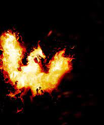 Gamescreens Org Dragon S Dogma Dragon Images Dogma