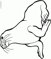 Download and print these baby seal coloring pages for free. Seal Coloring Pages For Kids Coloring Home