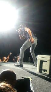 Birds Need Bees And Ice Needs Whiskey Pin On Country Rural