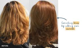 In order to learn about using a hair toner for brassiness, you first want to know how to neutralize red tones in hair? Brass Ash 101