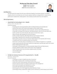 Accountant Cv