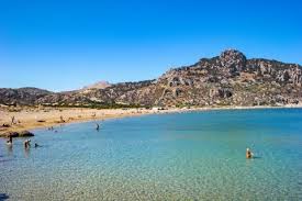 Image result for Thamnosma rhodesica