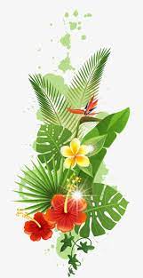 Green Coconut Leaves Coconut Clipart Leaf Green Png Transparent Clipart Image And Psd File For Free Download Paper Flowers Flower Art Trendy Flowers
