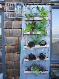 Pin On Gardening