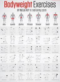 Beginners Whole Body Vibration Exercise Chart Precise Body